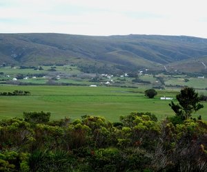 Baardskeerdersbos Huiseienaarsvereniging
